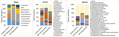 Bacteriome analysis of Aggregatibacter actinomycetemcomitans-JP2 genotype-associated Grade C periodontitis in Moroccan adolescents